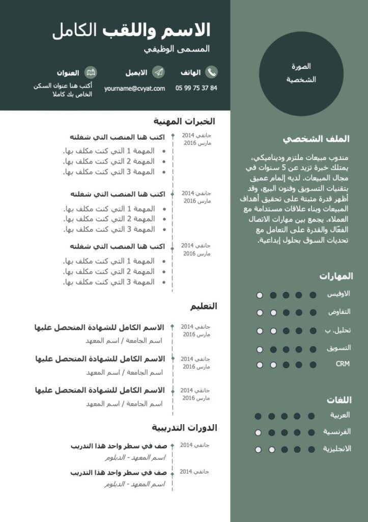 السيرة الذاتية جاهزة للكتابة والتعبئة Docx نموذج السيرة الذاتية جاهز للكتابة word قوالب السيرة الذاتية وورد docx